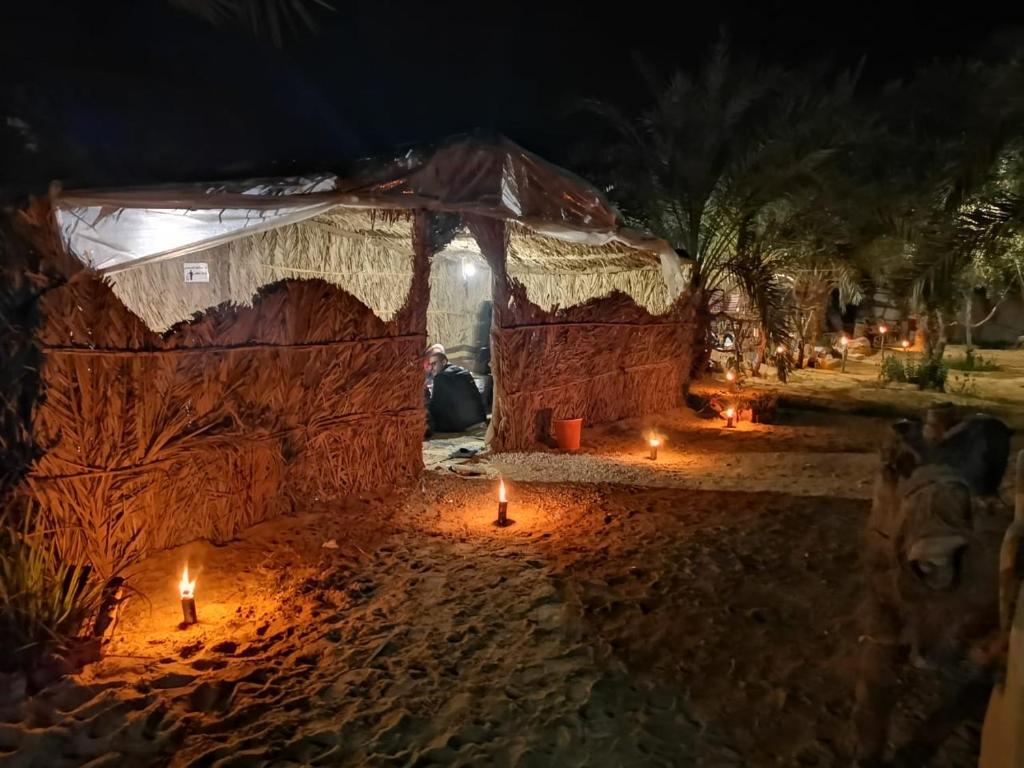 DESERT ESCAPE SIWA -WITH PALM & OLIVE GARDEN - HOT SPRING